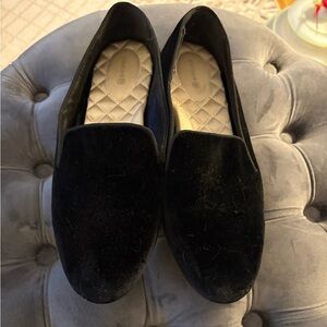 Birdies The Sparrow - slip on velvet